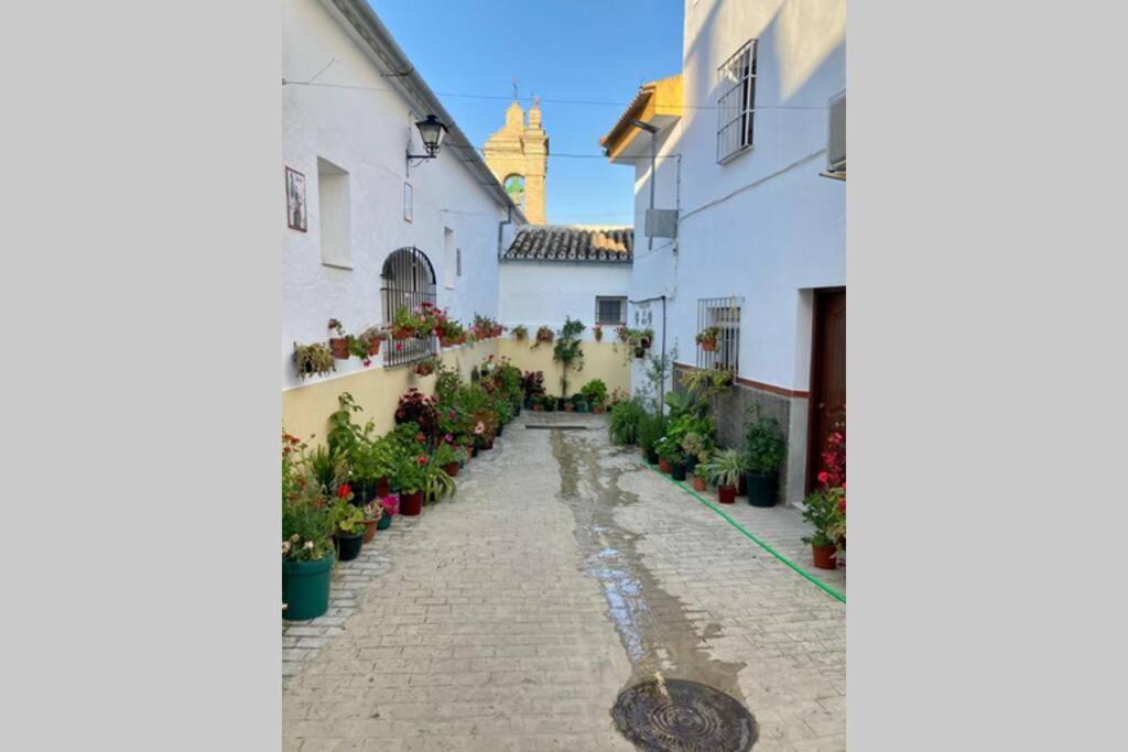 Casa Tipica De Pueblo Andaluz Villa Villanueva de San Juan Exterior photo